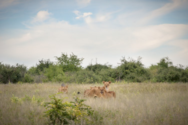 Similar image 13024783