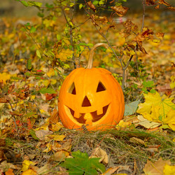 Similar image 13041089