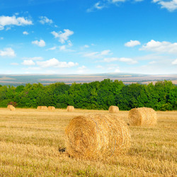 Similar image 13041092