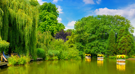 Similar image 13041097