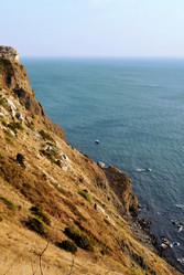 Similar image 13024174