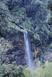 Similar image 13024194