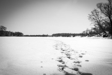 Similar image 13024113