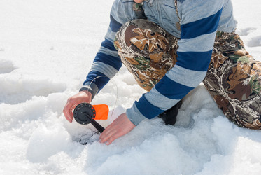 Similar image 13024117