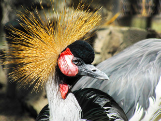 Similar image 13023863