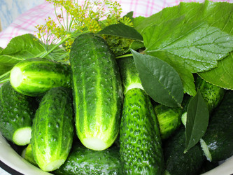 Similar image 13023842