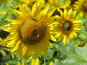 Similar image 13023891