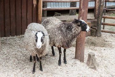 Similar image 13024201