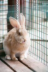 Similar image 13024202