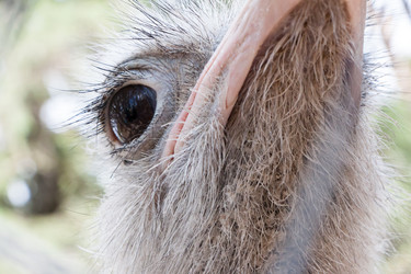 Similar image 13024204