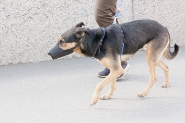 Similar image 13024222