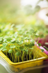 Similar image 13036273