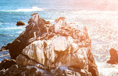 Similar image 13024014