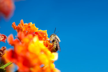 Similar image 13024017