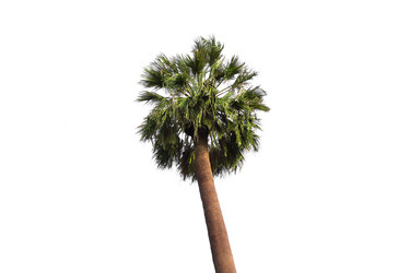 Similar image 13024019