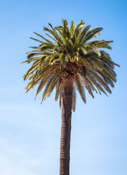 Similar image 13024023