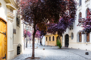 Similar image 13024025