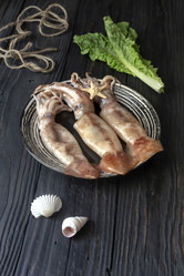 Similar image 13028299