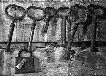 Similar image 13023822