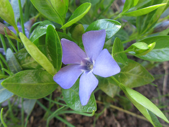 Similar image 13024062