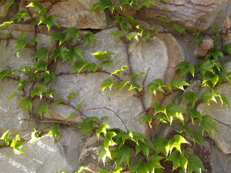 Similar image 13024063