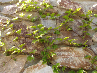 Similar image 13024064