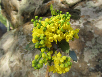 Similar image 13024067