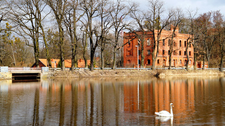 Similar image 13023939