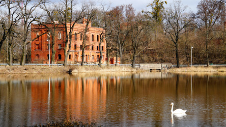 Similar image 13023940