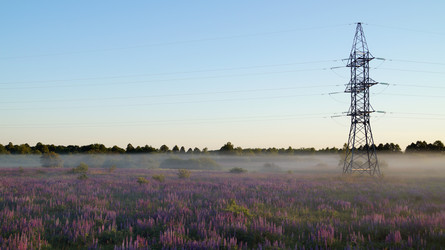 Similar image 13023944