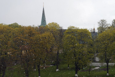 Similar image 13023947