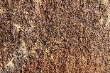 Similar image 13024070