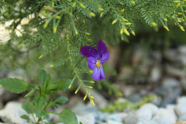 Similar image 13024072