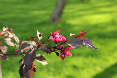 Similar image 13024073