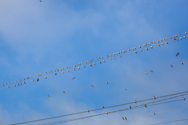 Similar image 13062053