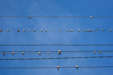 Similar image 13062079