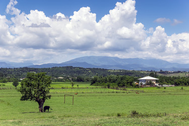 Similar image 13028132