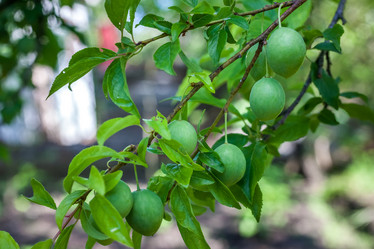 Similar image 13061628