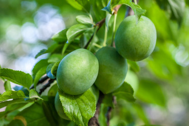 Similar image 13061630