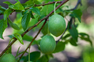 Similar image 13061631