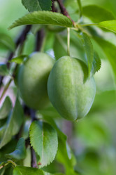 Similar image 13061632