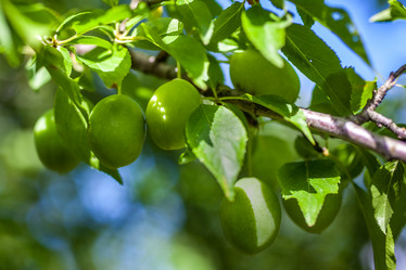 Similar image 13061646