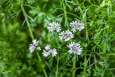 Similar image 13062154