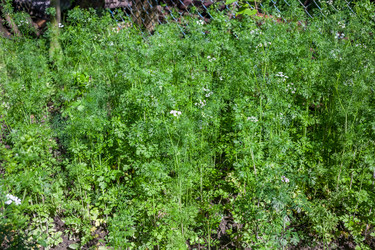 Similar image 13062155