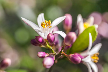 Similar image 13062175