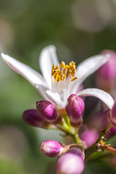 Similar image 13062177