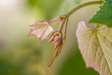 Similar image 13062085