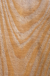 Similar image 13061654