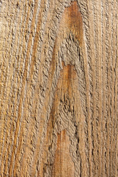 Similar image 13061685