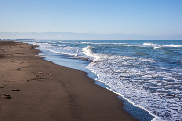 Similar image 13061602